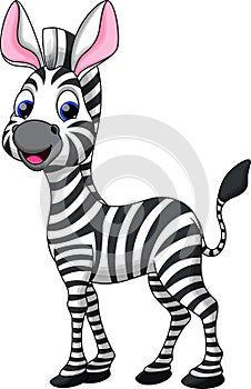 Funny zebra cartoon photo