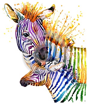 Funny zebra illustration with splash watercolor texture. rainbow background f