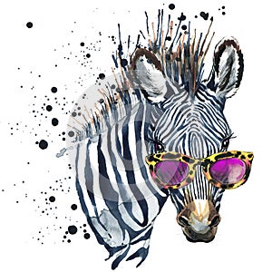 Funny zebra watercolor illustration