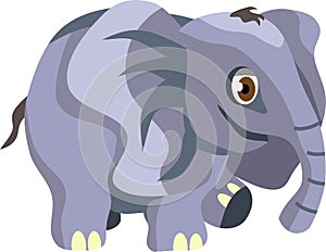 Funy Baby Elephant Animal Vector