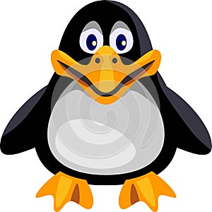 Funy Baby Penguin Cartoon Animal