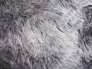 Fur