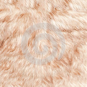 Fur background photo