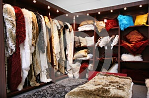 Fur closet