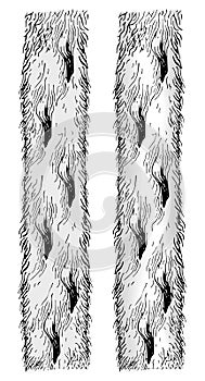 Fur coat of arms vector