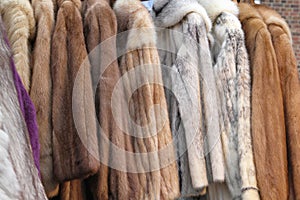 Fur coats