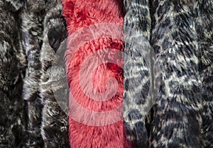 Fur Coats