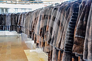 Fur coats on hangers. Fur store. fur coats in a row