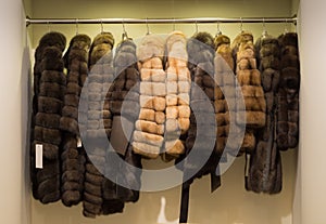 Fur coats on hangers in leather and fur shop.