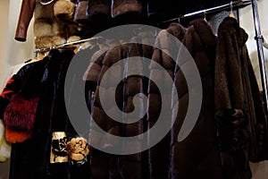 Fur coats made for ladies and exposed for sale. Fur Coats on Display, Fur Coats for Women.