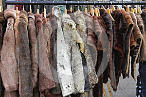 Fur coats photo