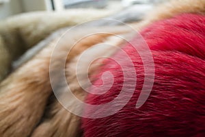 Fur, colored naturar fox fur texture. Closeup photo.