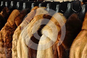 Fur jackets