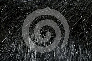 Fur leather texture background