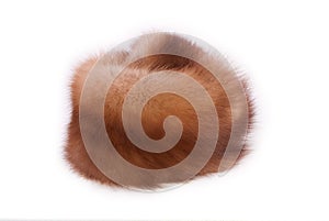 Fur of a marten