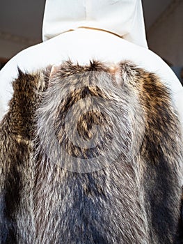 Fur pelts sewn to the coat layout on mannequin