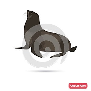 Fur seal color flat icon for web and mobile design