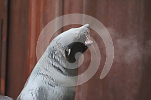 Fur seal growl