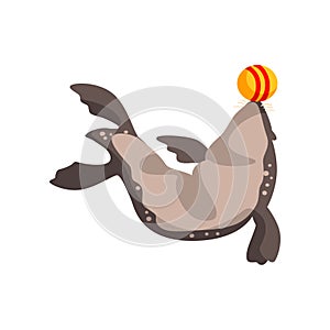 Fur seal playing with ball, sea animal performing in public in dolphinarium vector Illustration on a white background