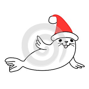 Fur seal in red Santa Hat