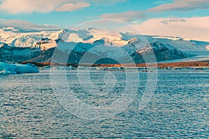 Fur seal swims among glaciers in winter in Iceland. Breathtaking natural landscape