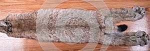 Fur skins of Siberian lynx on wooden background.