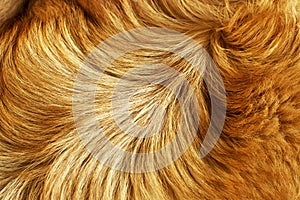 Fur structure