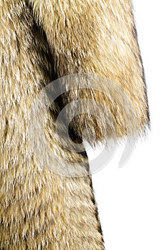 Fur texture. Raccoon dog fur.