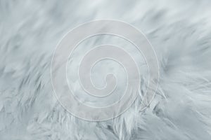 Fur texture. softly gentle smooth calm and subtle detail emotional photo