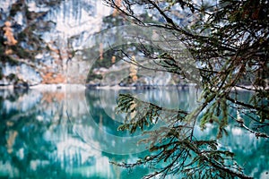 Fur tree branches and autumn scene at Lago di Braies with a beautiful lake reflections