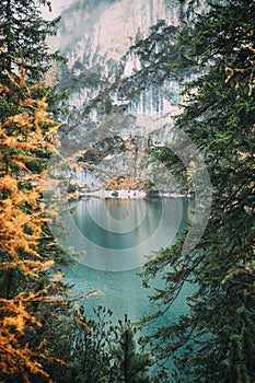 Fur tree branches and misty autumn scene at Lago di Braies with a beautiful lake reflections