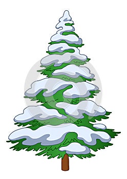 Fur-tree with snow