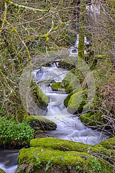 Furelos river sectionin Galicia Spain photo