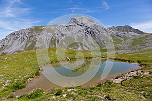 Furggahorn mountain near Arosa in summer, green meadow