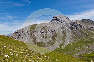 Furggahorn summit near Arosa, green meadows, blue sky