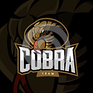 Furious cobra sport vector logo concept on dark background.
