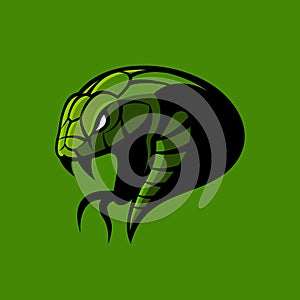 Furious green snake sport vector logo concept isolated on green background.