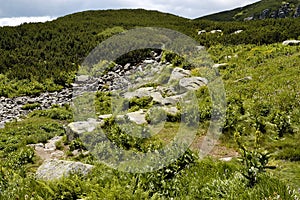 Furkotská dolina. Turistická stezka. Vysoké Tatry