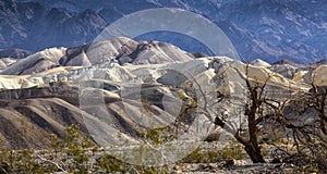 Furnace Creek Death Valley photo