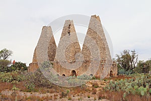 Furnaces with nopales in the mine of mineral de pozos guanajuato, mexico VIII