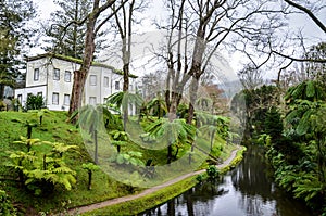 Furnas, Azores, Portugal - Jan 13, 2020: Botanical gardens in the Terra Nostra Garden area in Furnas. Water stream surrounded by