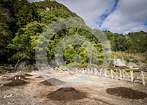 Furnas volcanic vents