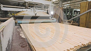 Furniture board production process. Automated conveyor belt at a furniture factory. Automated production line at a