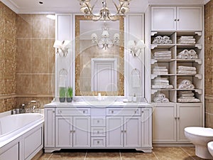 Furniture in classic bathroom