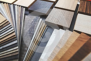 furniture and flooring material samples for interior design photo