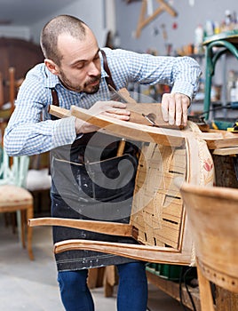 Furniture restorer renovation antique chair