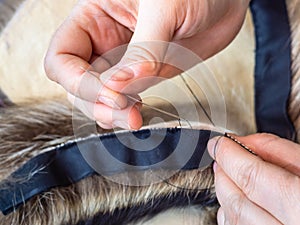 Furrier stitches fur pelts by needle close up