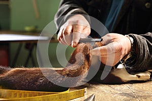 Furriers combing fur