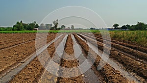 Furrow irrigation in crops production