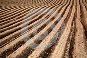 Furrows photo